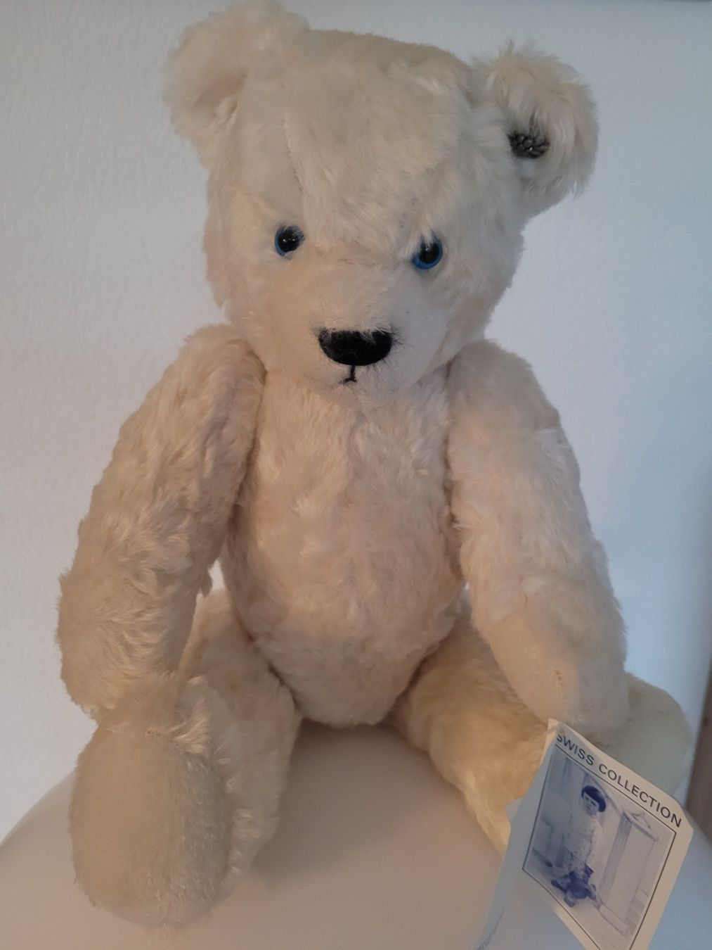 Jouets: Bär Teddy – D'occasion à Niederdorf par Daivlis 6