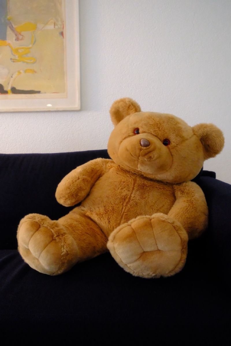 Giocattoli: Grosser Teddybär – Usato da Windisch venduto da YoungJoel
