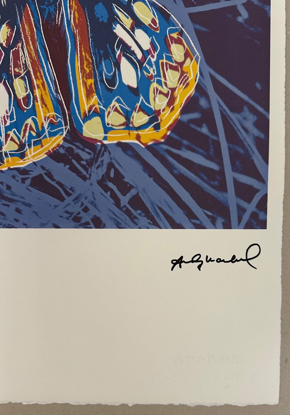 Dipinti: Warhol: Butterfly, POP Art 51/100 – Nuovo (secondo la descrizione) da Meilen venduto da Smgdesign 2