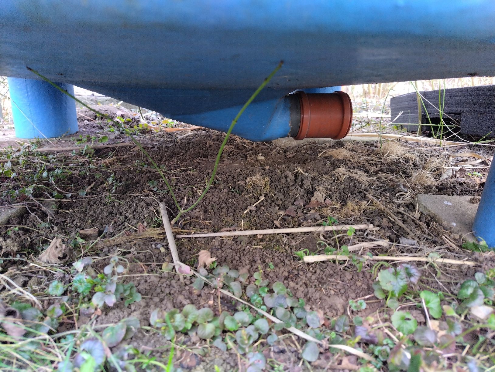 Abbeveratoi e trogoli: Grosse blaue Wanne / Pool / Fischtank / Regenwassertank – Usato da Neunkirch venduto da StadtOaseGmbH 1