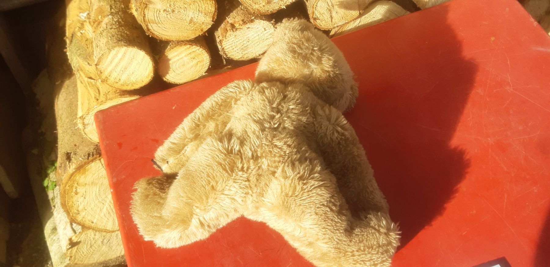 Giocattoli: Alter Teddybär – Usato da Wolfhalden venduto da Quiria68 1