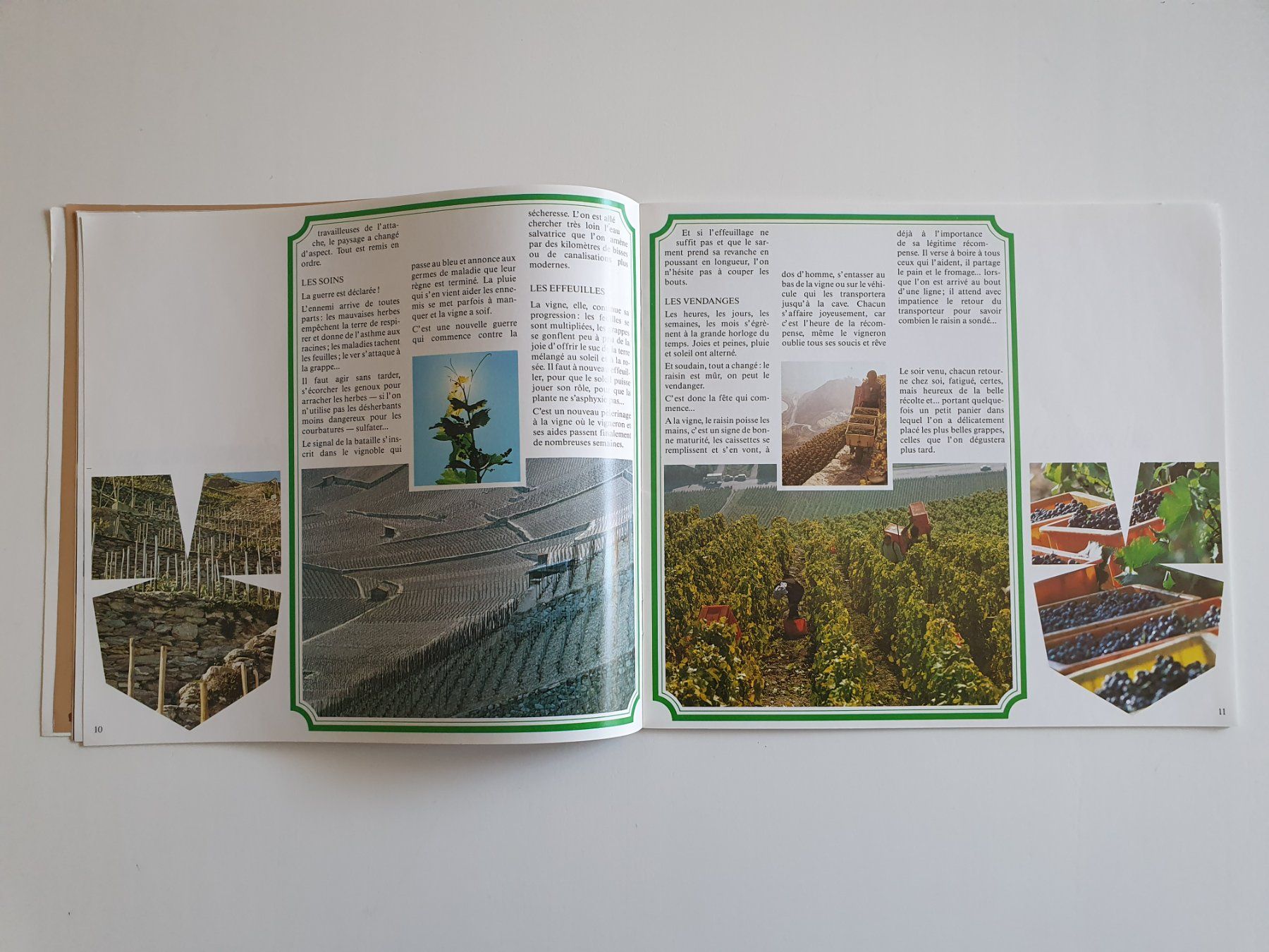 Libri: Vignes et vins du Valais, OPAV, 32 pages – Usato da Martigny venduto da Abm1000 2