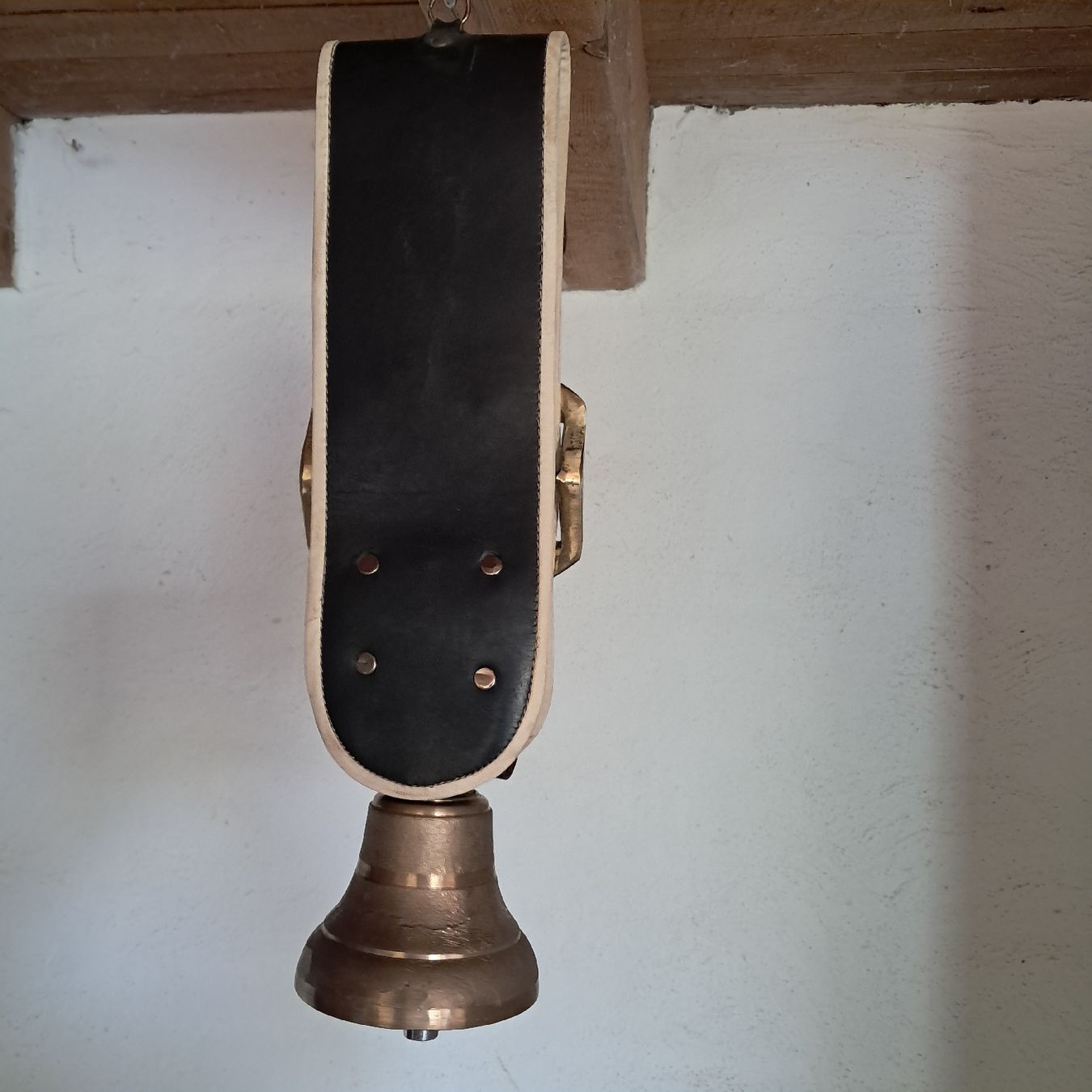 Campanacci mucche: SCHWEIZER GLOCKE 1986 – Usato da Murten venduto da SHETHOF 2
