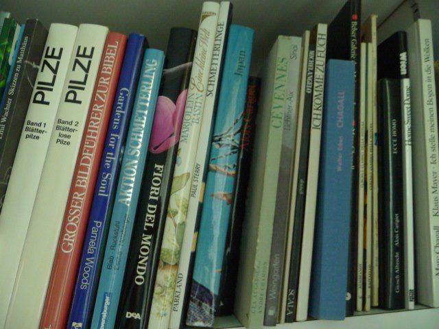 Libri: Bibliothek / Bücherwand – Usato da Schönenwerd venduto da befido 3