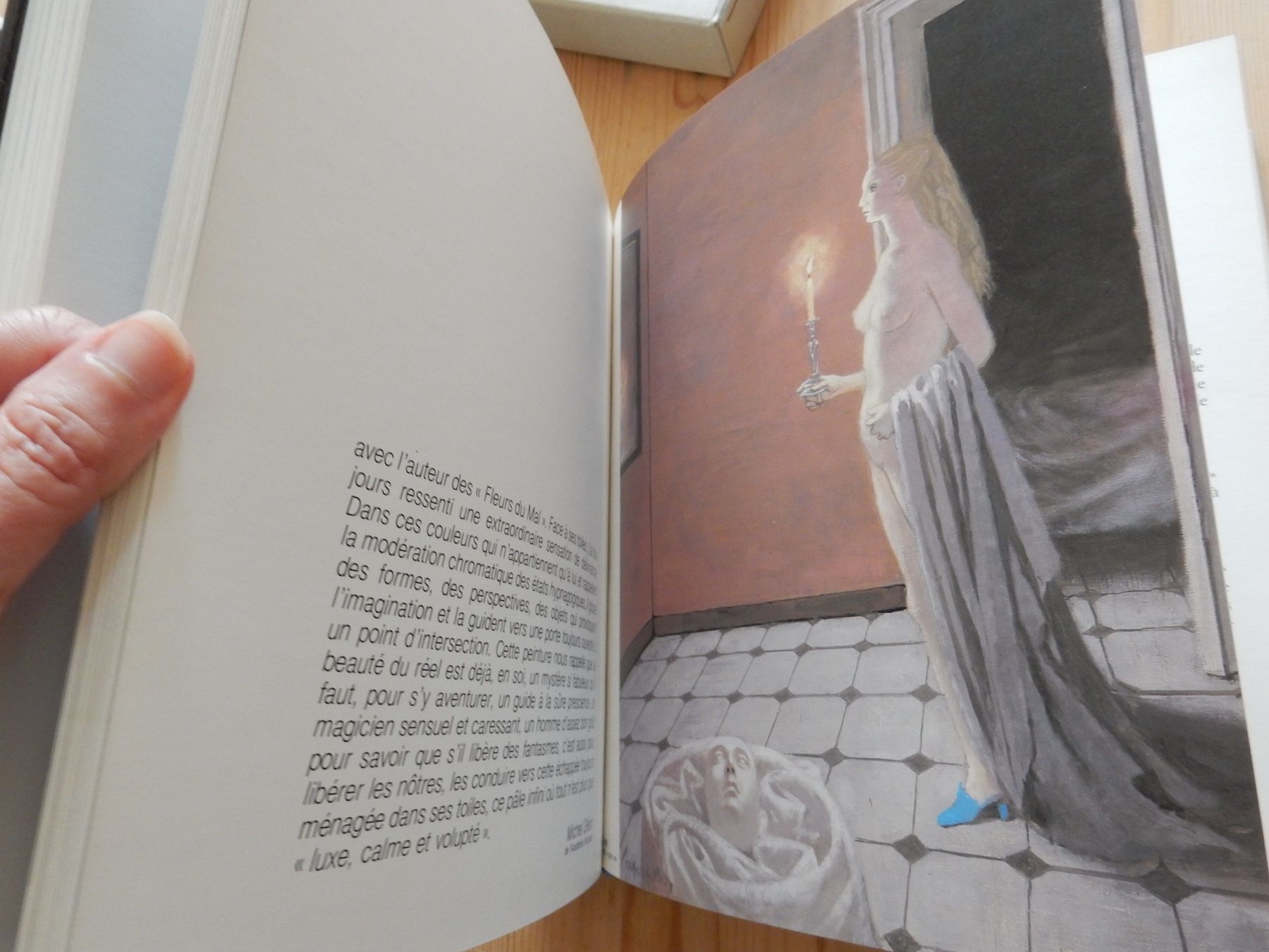 Libri: Buch Kunstbuch Katalog Roger Chapelain Midy Malerei – Usato da Jona venduto da JOberg_25 7