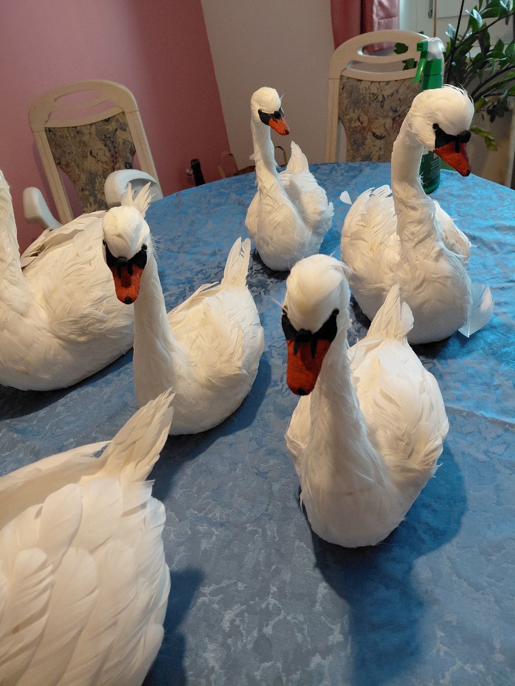 Alle Dekorationen: Deko Enten echten federn – Neu (gemäss Beschreibung) aus Amriswil von Trixi022 1