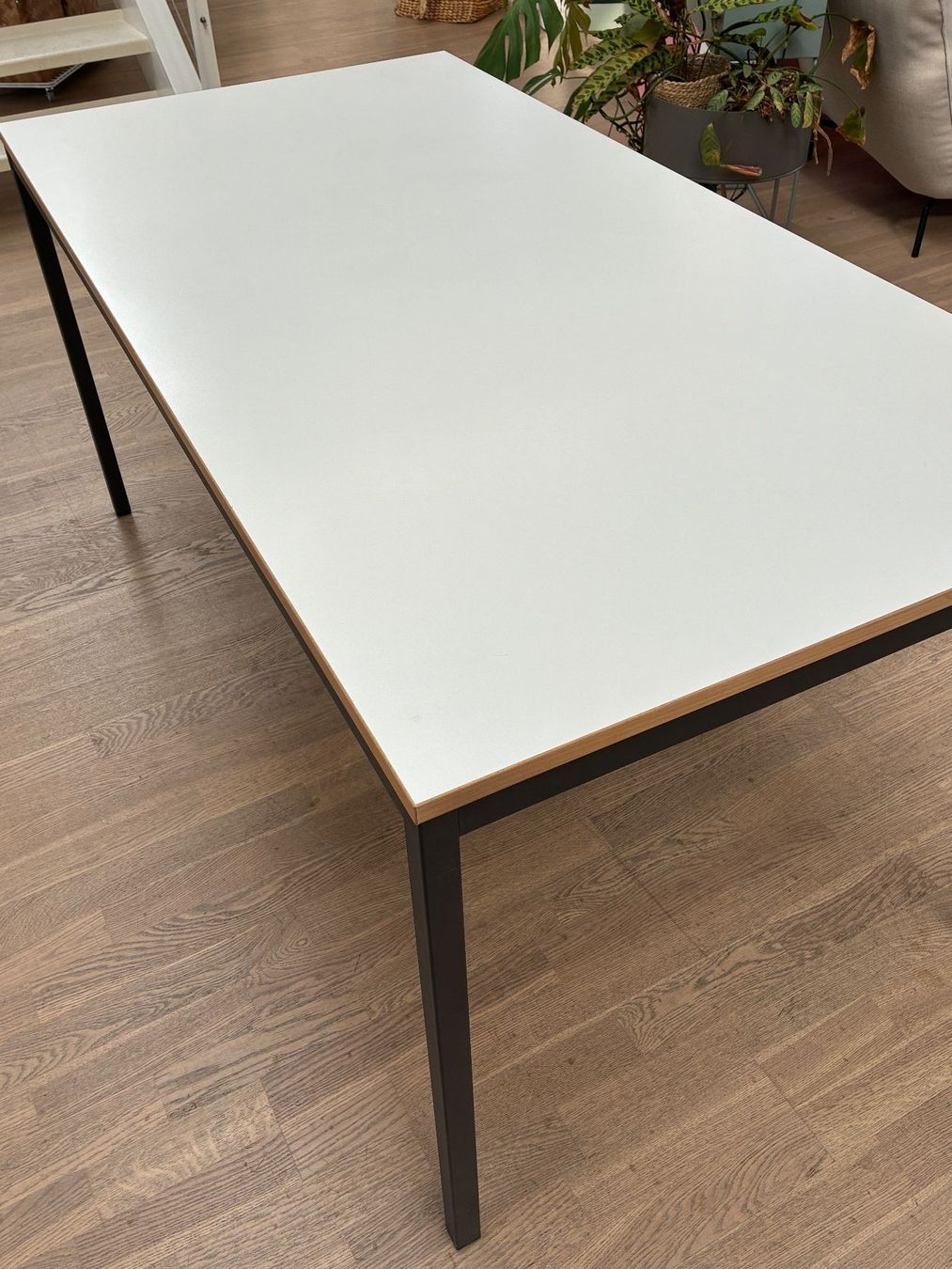 Scrivanie: Bürotisch – Usato da Horgen venduto da kms5408