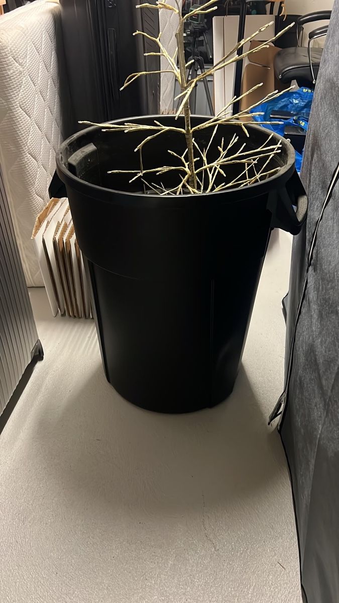 Altro per la casa: Grosse Plastik Tonne – Usato da ZÜRICH venduto da anvilactual
