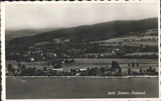 Ipsach BE Flugaufnahme Nr.8075 , ca.1950 (Gebraucht) in Solothurn für ...