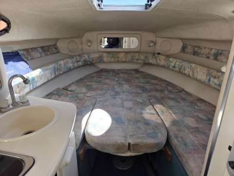 Sea Ray Barche: Motorboot inkl. Trailer Sea Ray 250 Sundancer – Usato da Neuenkirch venduto da rin_x9bc 8