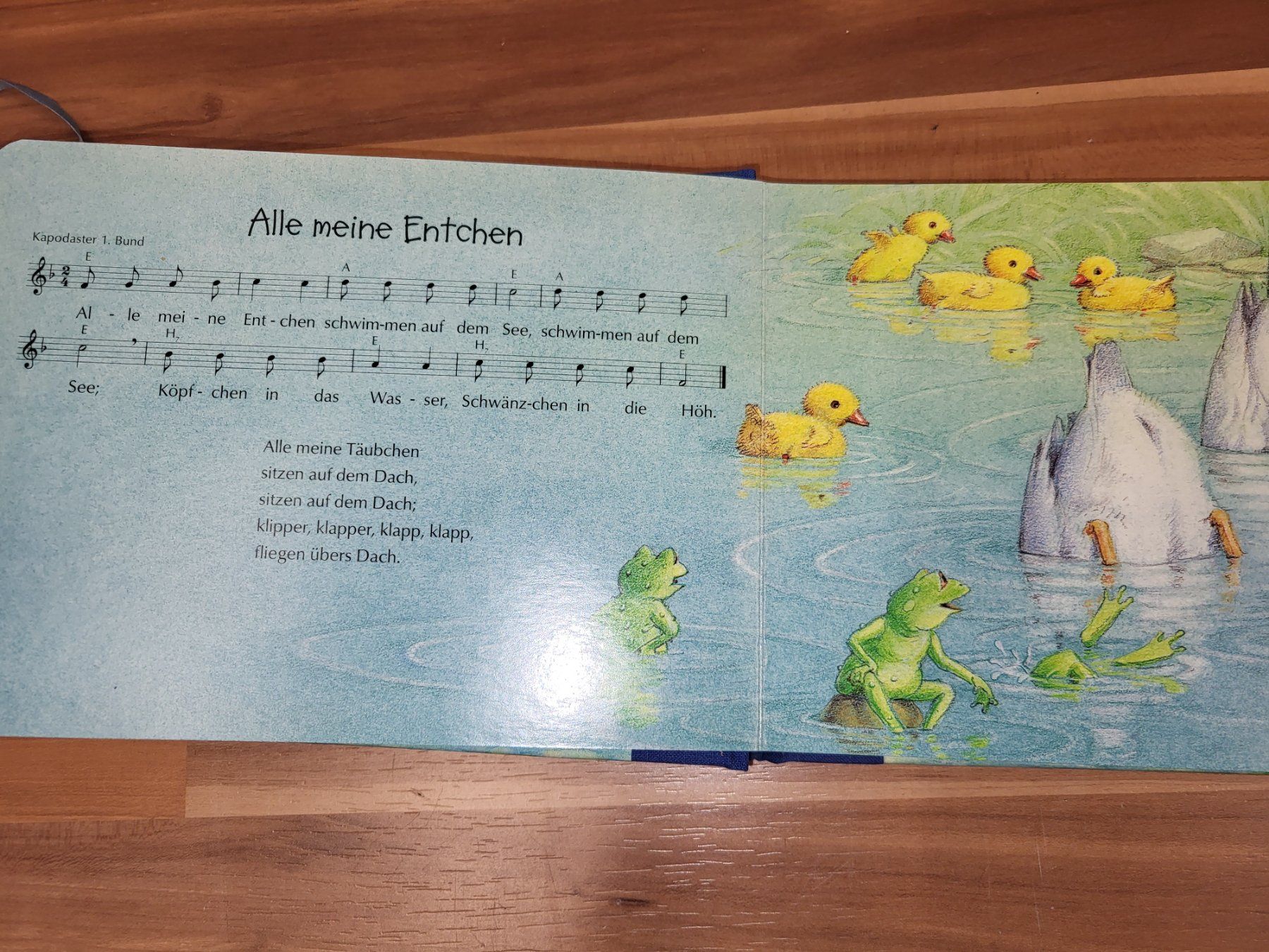 Bücher: Buch alle meine Entchen Kinderlieder – Neu (gemäss Beschreibung) aus Schwarzenburg von Flamingo07 1