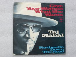 Vinyl Single   TAJ MAHAL
