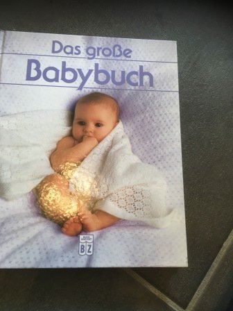 Bücher: Das grosse Babybuch BZ – Neu (gemäss Beschreibung) aus Bergdietikon von book-4-you