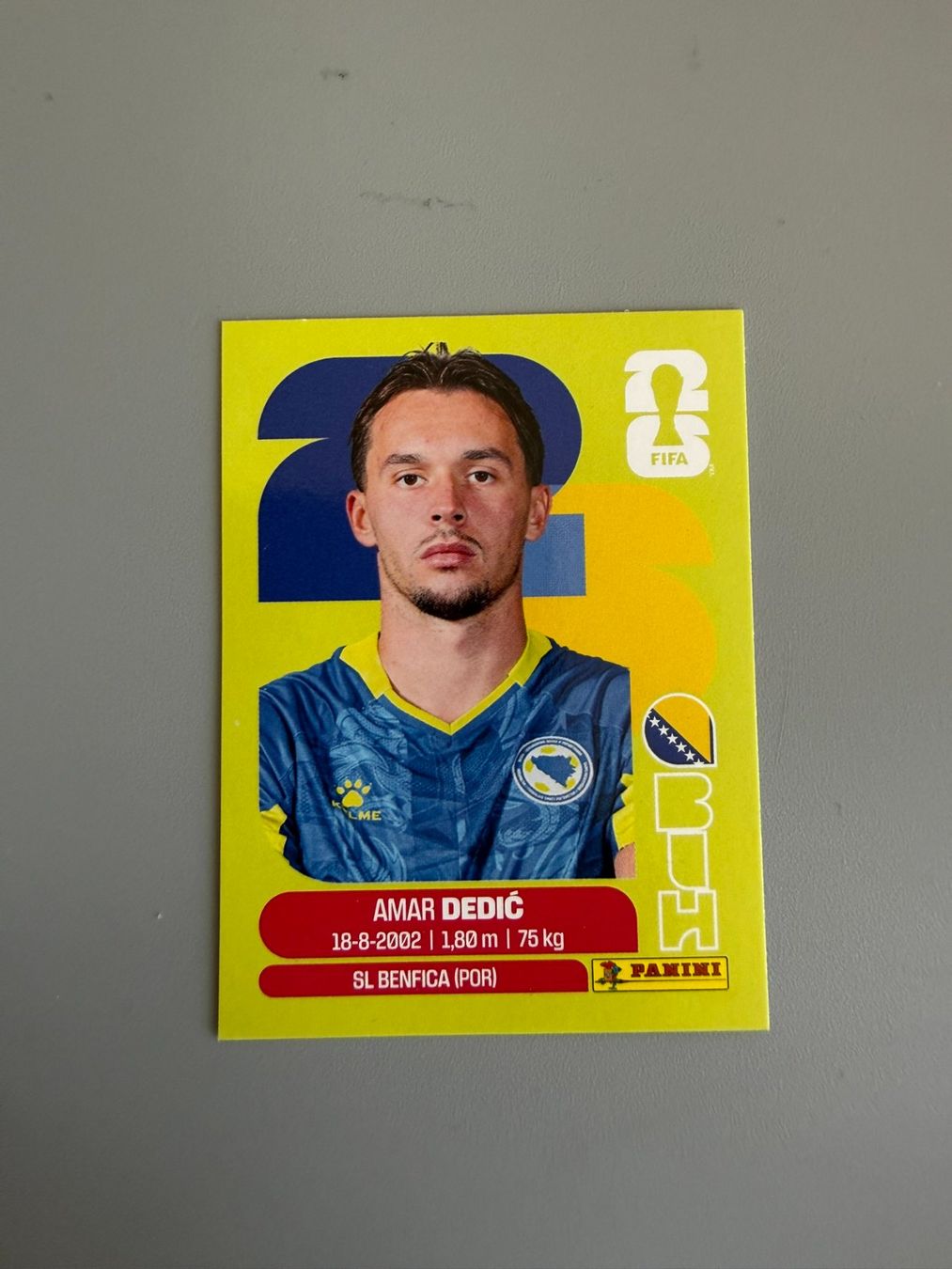 Panini Carte collezionabili: Panini Amar Dedic BIH3 – Usato da Liebefeld venduto da Ronaldo-1996