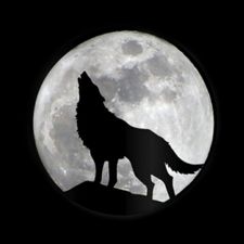 Profile image of Jan_7__