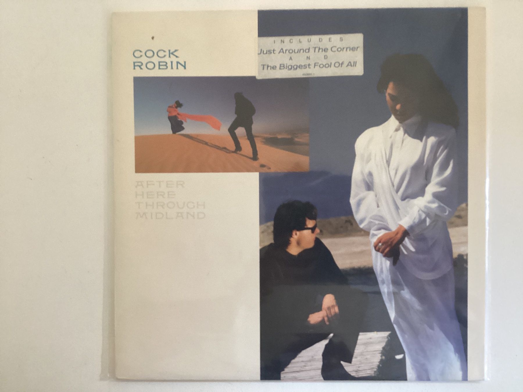Dischi in vinile: Cock Robin LP - After Here Through Midland – Usato da Gutenswil venduto da Hamzian