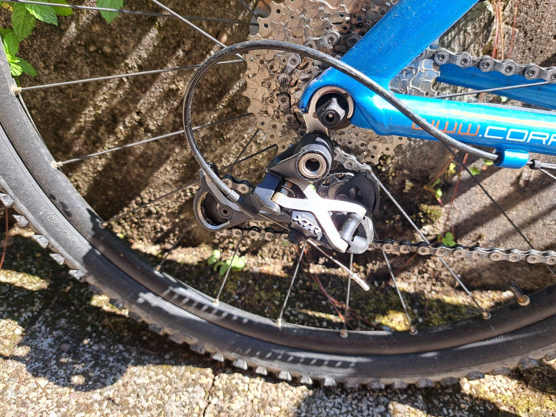 Corratec Biciclette: MTB Klassiker - Corratec X-VERTs – Usato da Ennenda venduto da GEISTERJODLER 1