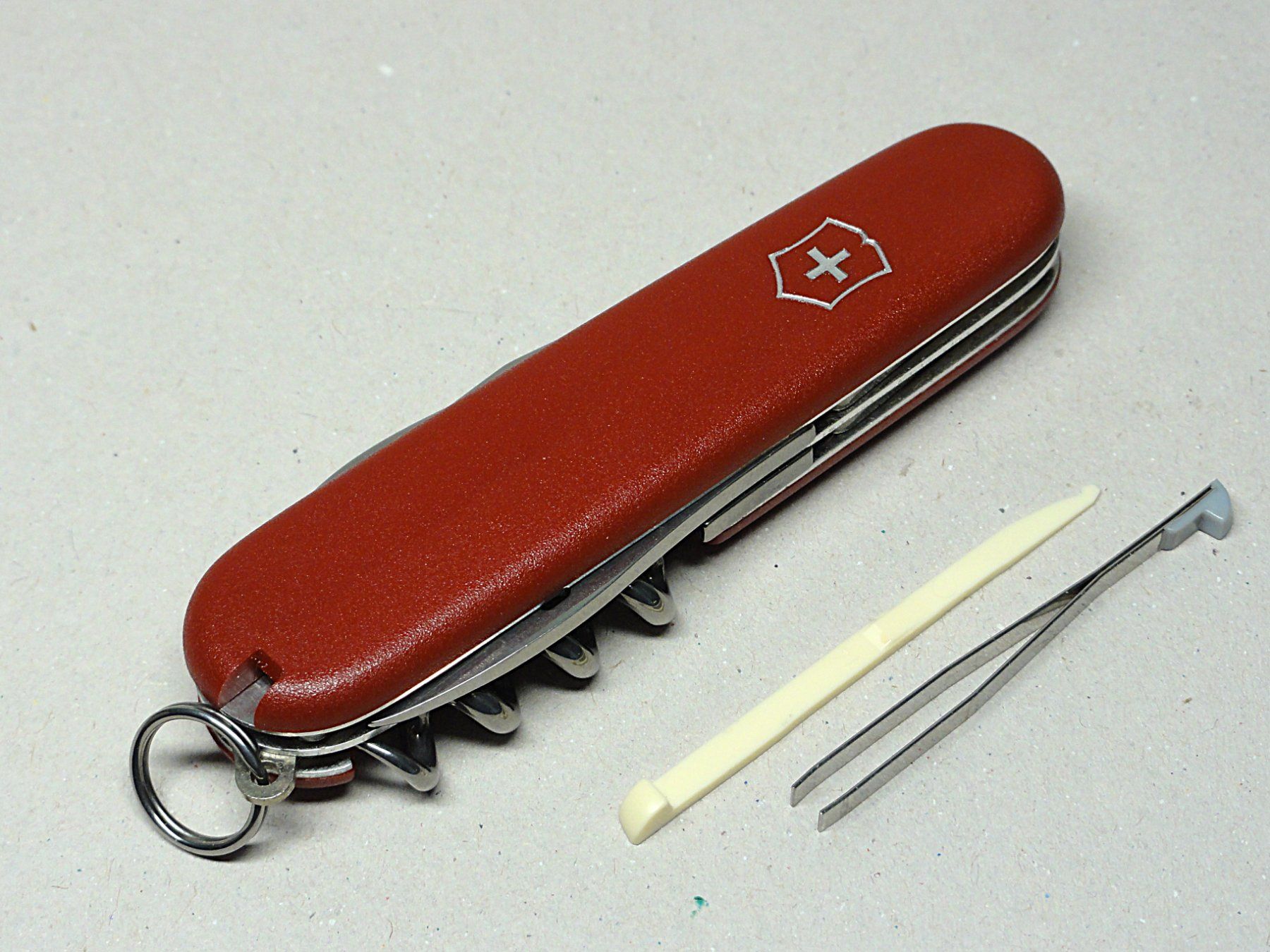 Victorinox Coltelli tascabile: Victorinox Spartan / Rot 84 mm "EcoLine" – Usato da Solduno venduto da albimicio 1