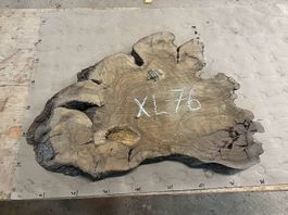 XL-76 Olivenholz Wurzelscheiben Baumscheiben