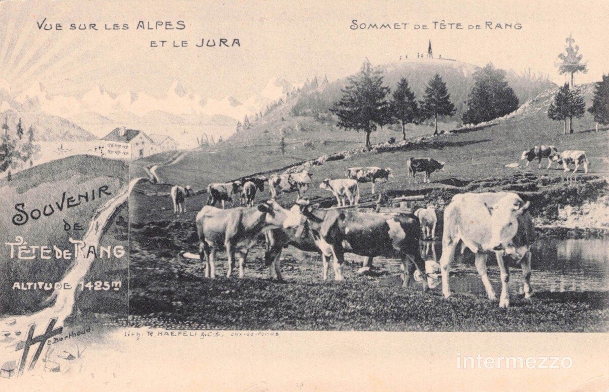 Ansichtskarten: Tête de Ran NE // ca. 1900 Litho Sommet – Gebraucht aus Basel von intermezzo12