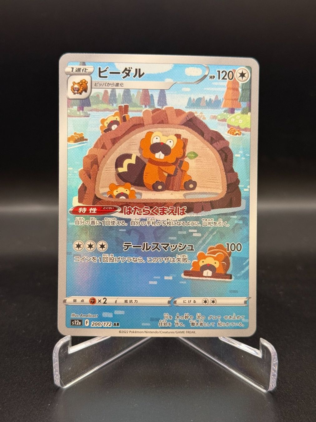 Pokémon Carte collezionabili: Bibarel (s12a 200) - Art Rare – Usato da Birmensdorf ZH venduto da SnorlaxMail