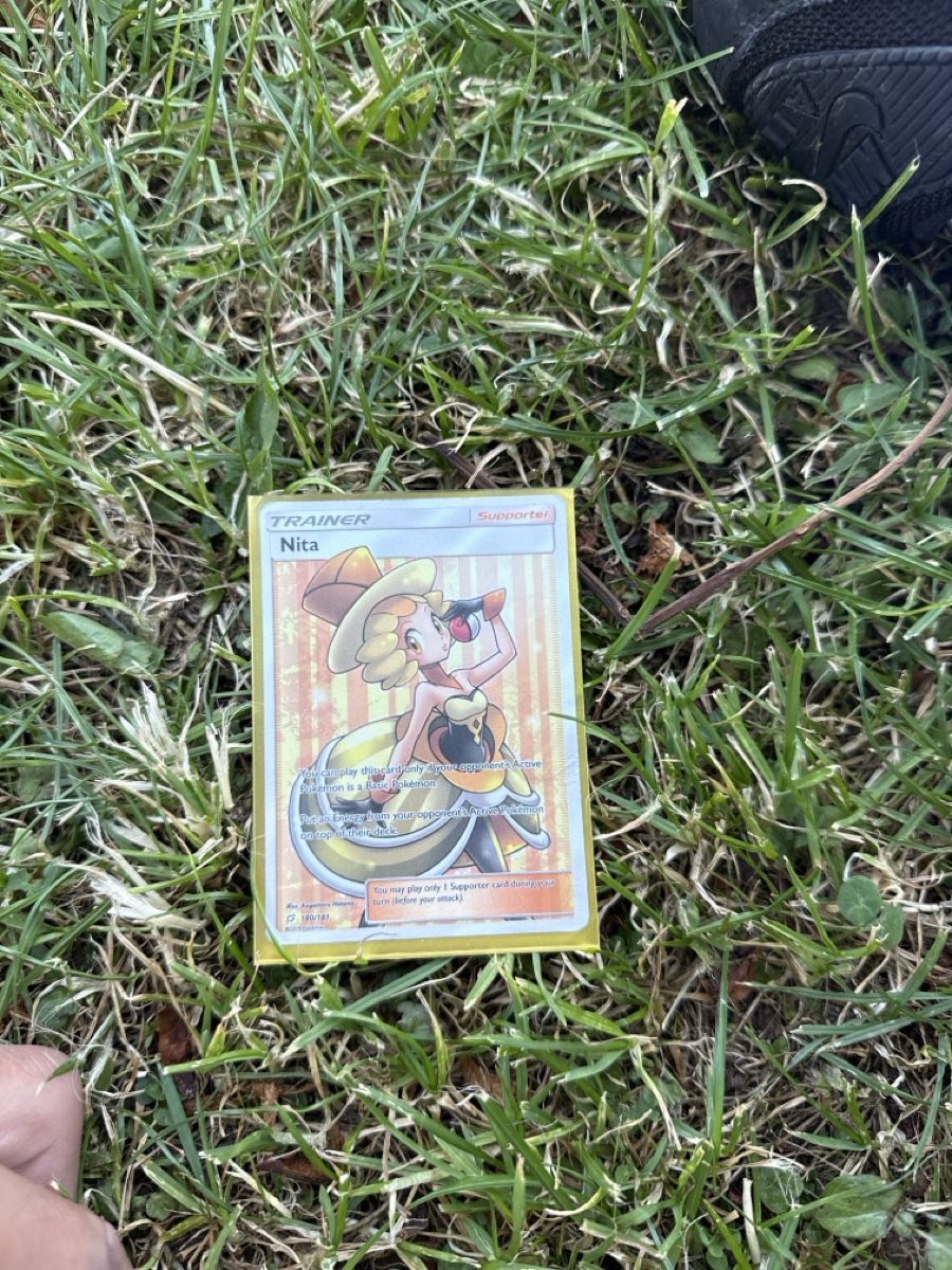 Pokémon Carte collezionabili: Pokemon Karte Nita – Usato da Appenzell Meister. venduto da ROMDIE10
