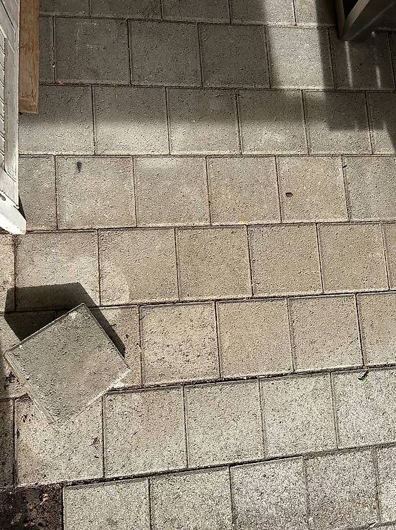 Rivestimenti per pavimenti: Garten Steinplatten – Usato da Pfäffikon ZH venduto da Cyclingcycling1998 1