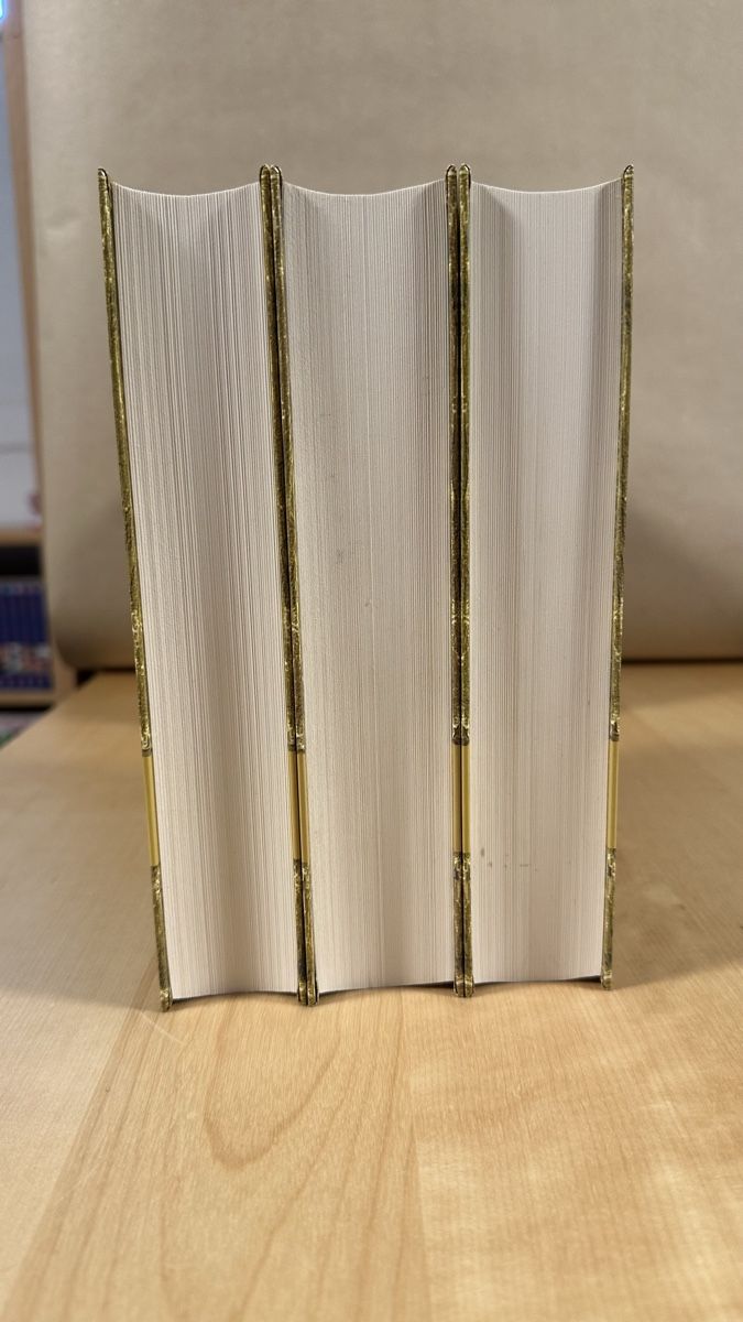 Libri: Göttlich-Trilogie Schuber - Josephine Angelini – Usato da Schönenwerd venduto da palaceofwords 3