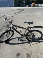 KTM Velo