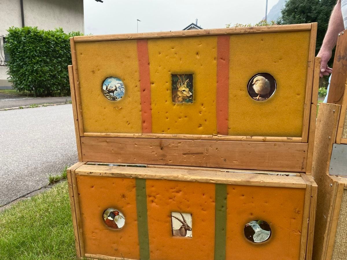 Bogenschiessen: Zielscheibe altes Schiesspiel – Gebraucht aus Zug von Linda_VK0