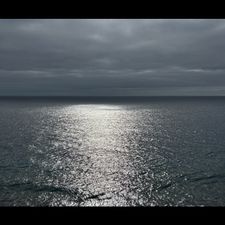 Profile image of salvi51