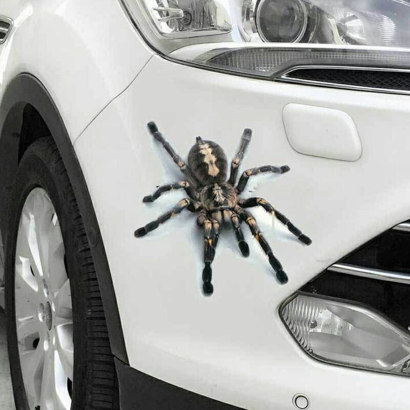 Sticker: ---+++ 3D Sticker Spinne +++--- – Nuovo e nell'imballaggio originale da Kilchberg ZH venduto da Eaglebuy