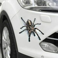 ---+++ 3D Sticker Spinne +++---