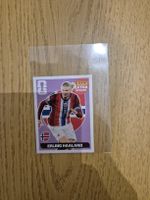 Extra Sticker, Haaland purple/violet 