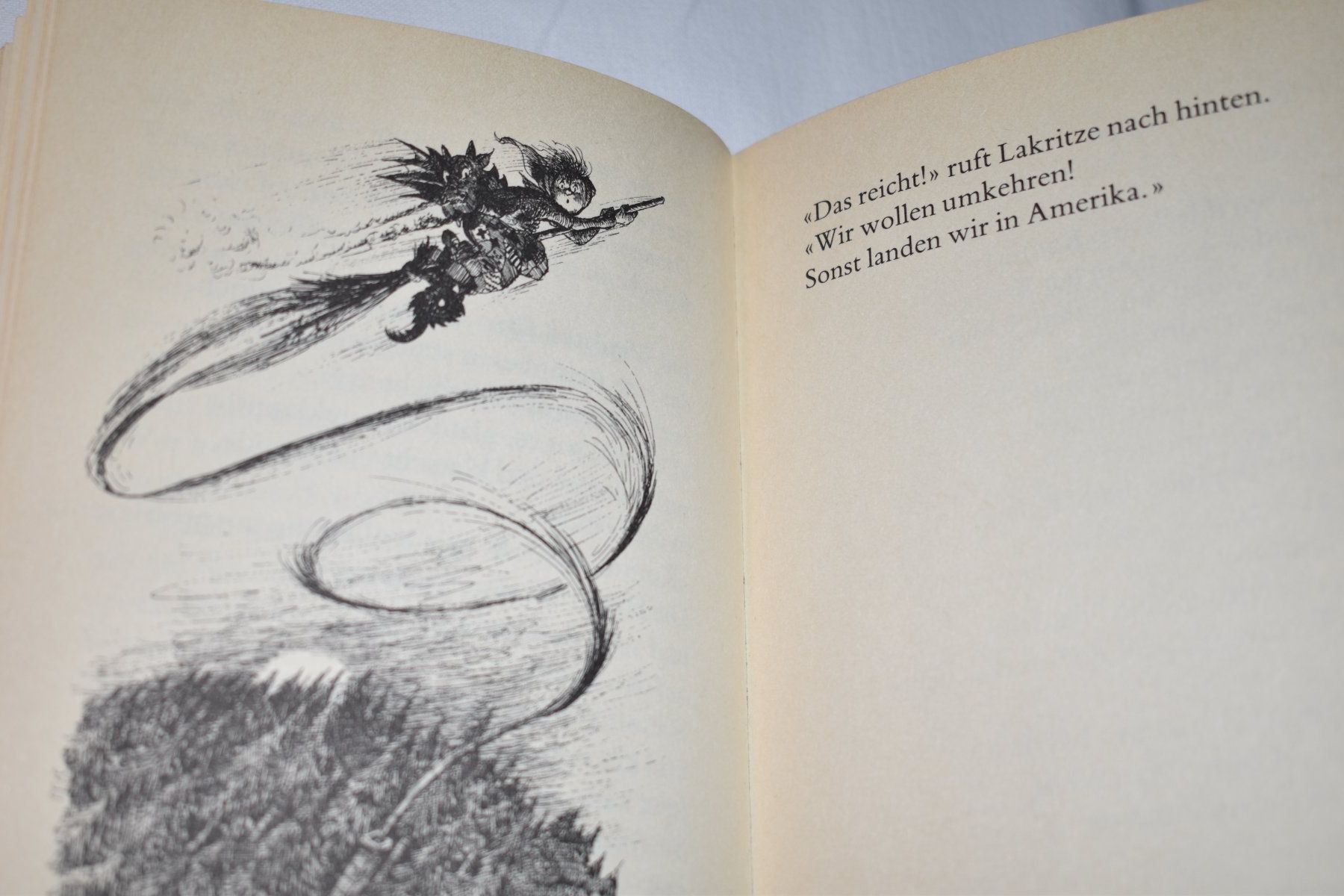 Libri: Hexe Lakritze - Kinderbuch von Eveline Hasler – Usato da Speicher venduto da Indigoblau_3 2