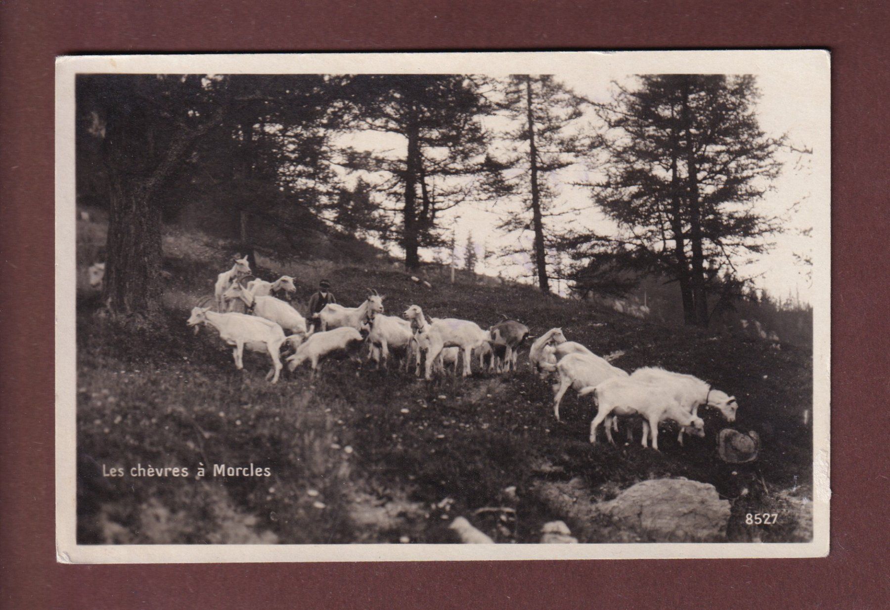 Cartoline postali: Les CHEVRES à MORCLES - Feldpost – Usato da Pully venduto da nicecards-shop