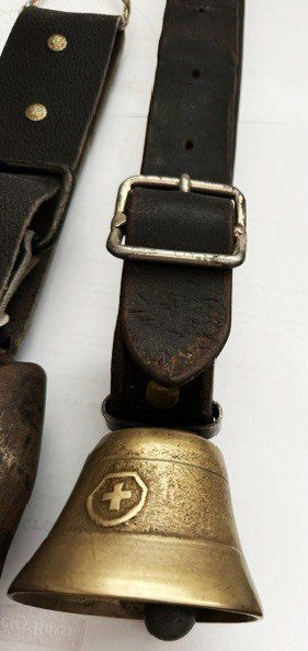 Campanacci mucche: Viehglocken – Usato da Büren an der Aare venduto da gondola17 3