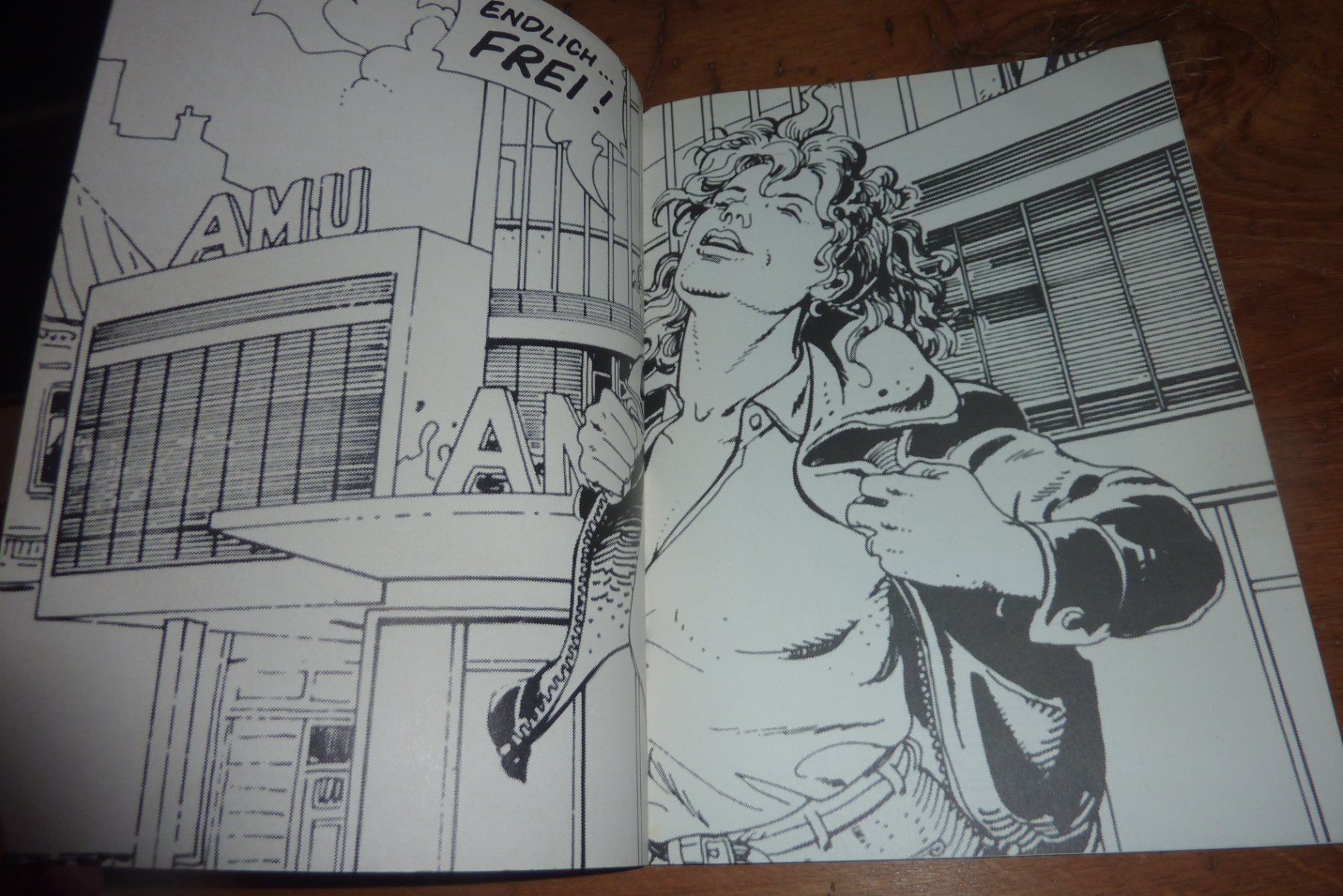 Fumetti: Das verbotene Glück, 1. Buch, Griffo, Van Hamme – Usato da Lausen venduto da akira003 1