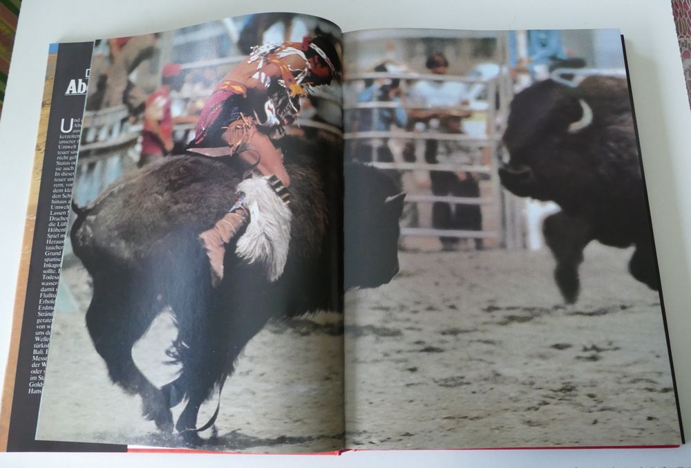 Buch 4