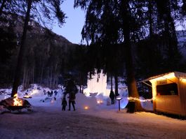 Verkaufsstand Holz auf Fahrgestell gut erhalten