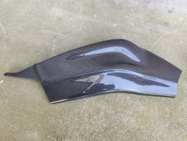 Carbon Schwingenschutz für Bmw S1000RR 2009-18,R 2014-20 NEU