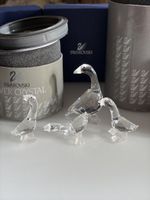 Swarovski Kristall Enten 4 Stk mit Boxen guter Zustand