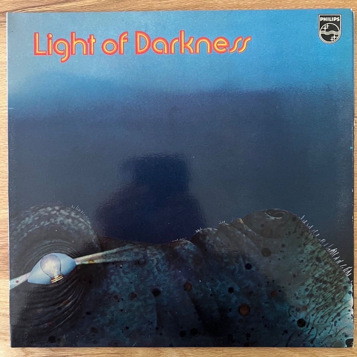 Schallplatten: Light Of Darkness - Same / 1. D-Press. 1971 - TOP – Gebraucht aus Gais von soundcave57