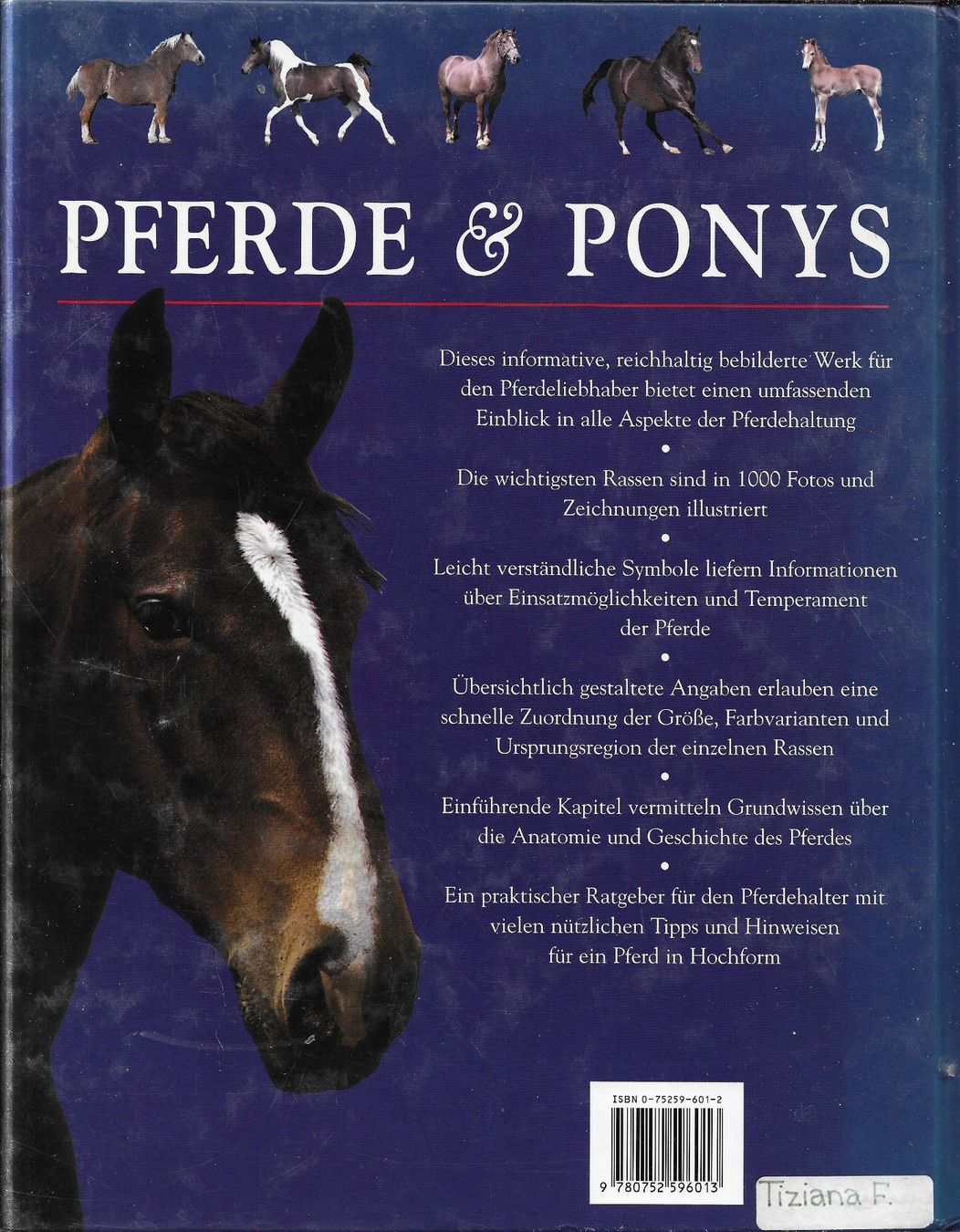 Libri: Tamsin Pickeral - Pferde & Ponys – Usato da Nunningen venduto da mercury-for-books 1