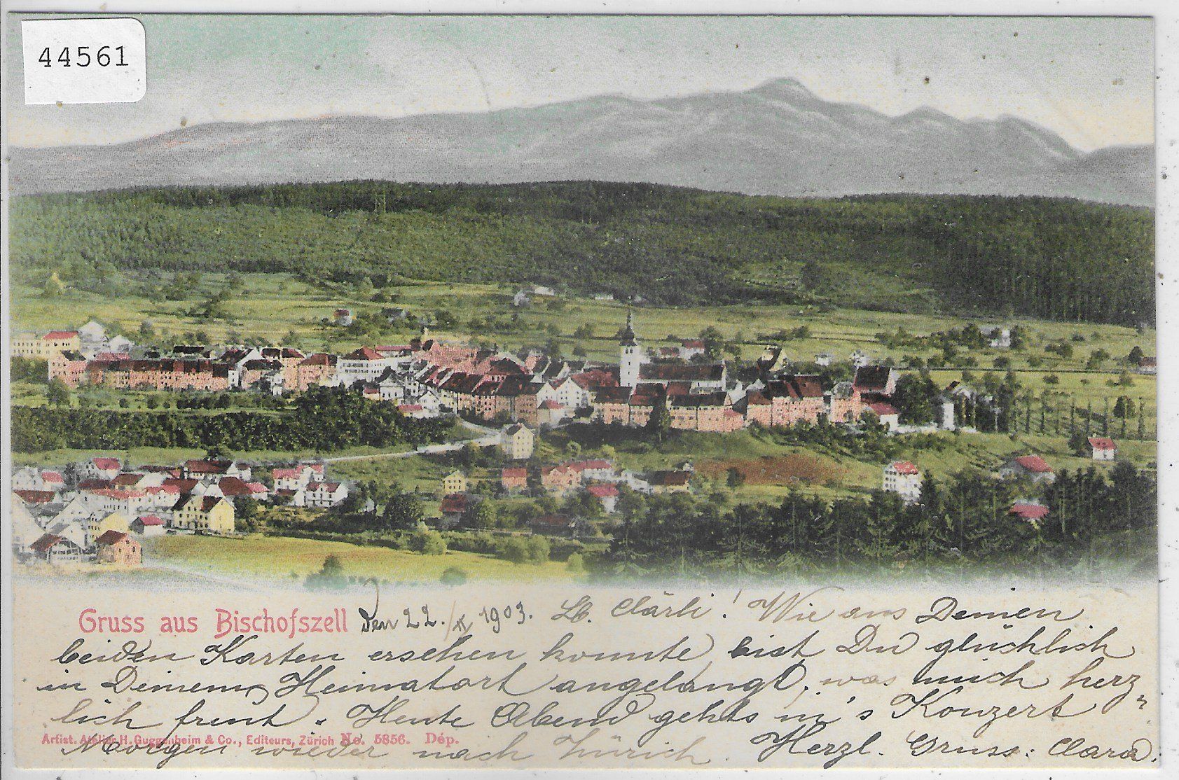 Ansichtskarten: Gruss aus Bischofszell - Litho – Gebraucht aus Ettingen von Kartenplanet
