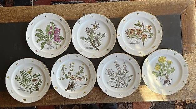 Piatti: Assiettes plates – Usato da Courgenay venduto da hello152
