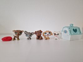 LPS littlest Pet Shop Hunde