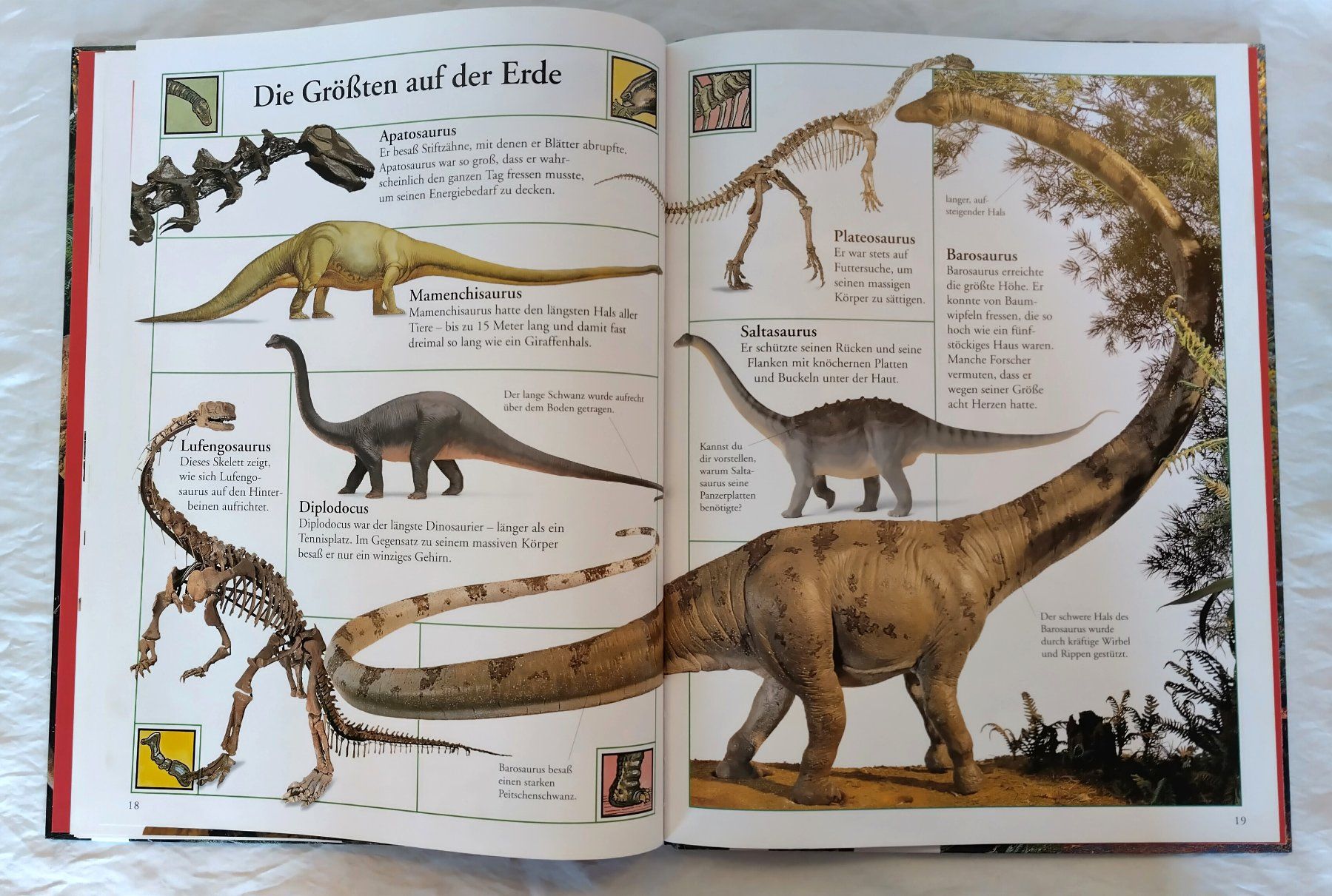 Libri: Das grosse Bilderlexikon der Dinosaurier / Grosses Format – Usato da Bellach venduto da JingleJerry 6