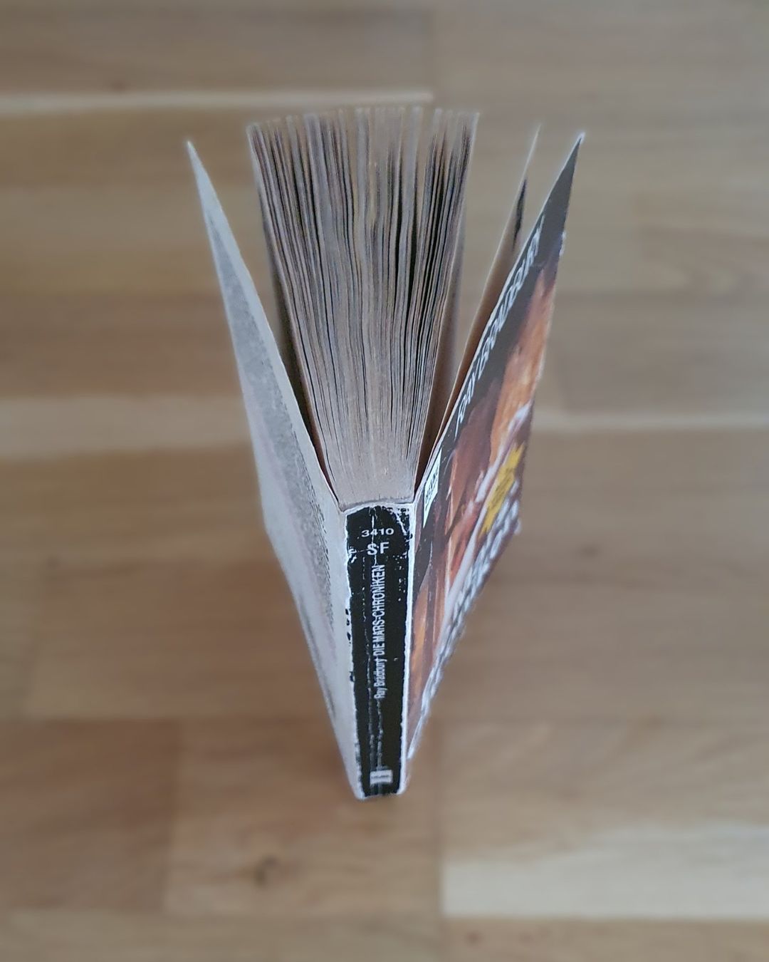 Libri: Die Mars-Chroniken / Ray Bradbury – Usato da Emmenbrücke venduto da Re6020 2