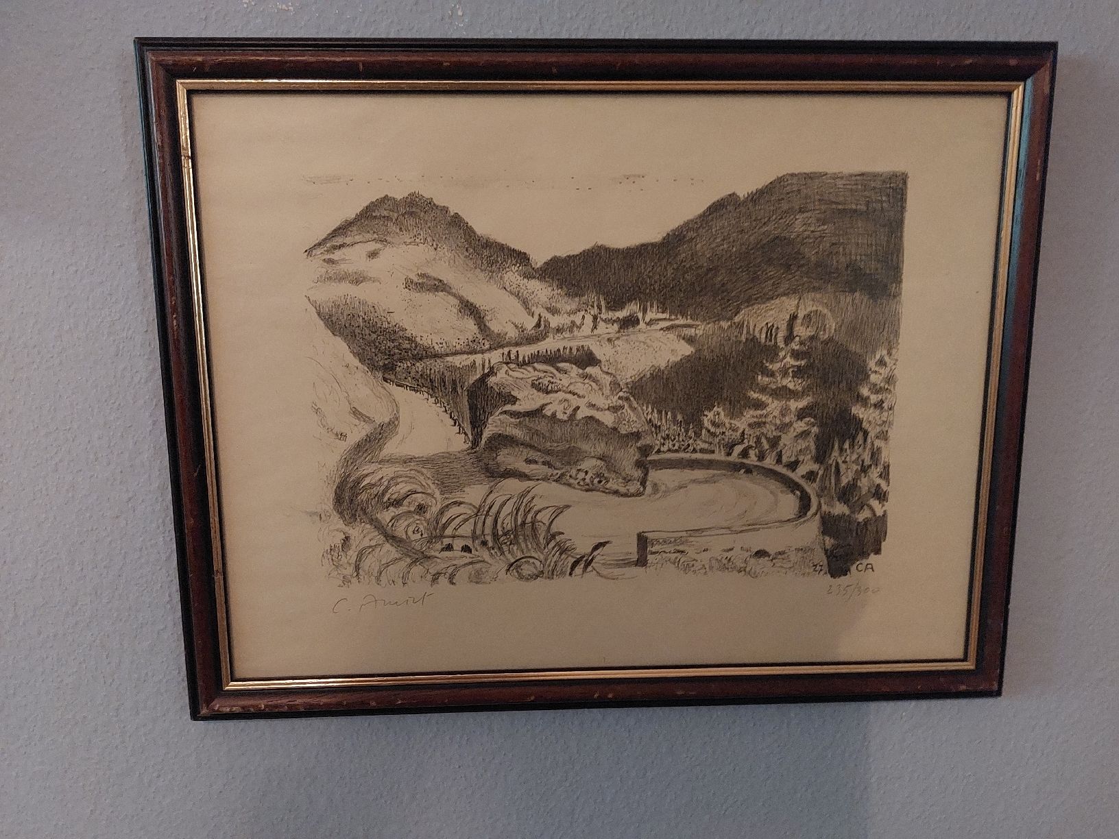 Grafica & Litografie: Cuno Amiet, Original Litho, Handsigniert – Usato da Zürich venduto da akl_n6fp 1